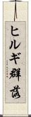 ヒルギ群落 Scroll