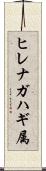 ヒレナガハギ属 Scroll