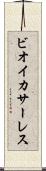 ビオイ・カサーレス Scroll