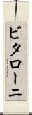 ビタローニ Scroll