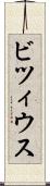 ビツィウス Scroll