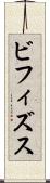 ビフィズス Scroll
