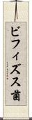 ビフィズス菌 Scroll