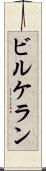 ビルケラン Scroll