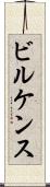 ビルケンス Scroll