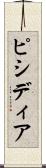 ピシディア Scroll