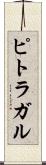 ピトラガル Scroll