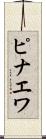 ピナエワ Scroll