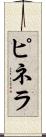 ピネラ Scroll