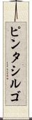 ピンタシルゴ Scroll