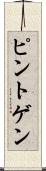 ピントゲン Scroll
