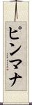 ピンマナ Scroll
