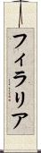 フィラリア Scroll