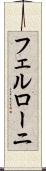 フェルローニ Scroll
