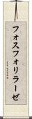 フォスフォリラーゼ Scroll