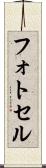 フォトセル Scroll