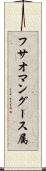 フサオマングース属 Scroll