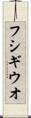 フシギウオ Scroll