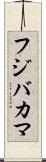 フジバカマ Scroll