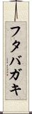 フタバガキ Scroll