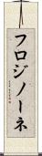 フロジノーネ Scroll