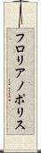 フロリアノポリス Scroll