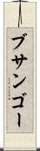 ブサンゴー Scroll