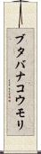 ブタバナコウモリ Scroll