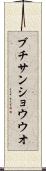 ブチサンショウウオ Scroll
