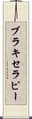 ブラキセラピー Scroll