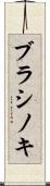 ブラシノキ Scroll