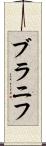 ブラニフ Scroll