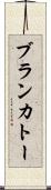 ブランカトー Scroll