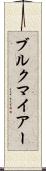 ブルクマイアー Scroll