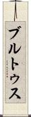 ブルトゥス Scroll