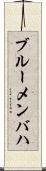 ブルーメンバハ Scroll