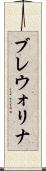 ブレウォリナ Scroll