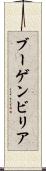 ブーゲンビリア Scroll