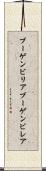 ブーゲンビリア Scroll