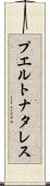 プエルトナタレス Scroll