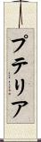 プテリア Scroll