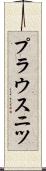 プラウスニツ Scroll