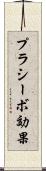 プラシーボ効果 Scroll