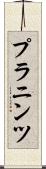 プラニンツ Scroll