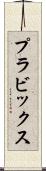 プラビックス Scroll