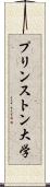 プリンストン大学 Scroll