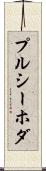 プルシーホダ Scroll