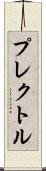 プレクトル Scroll