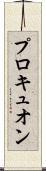 プロキュオン Scroll