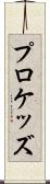 プロケッズ Scroll